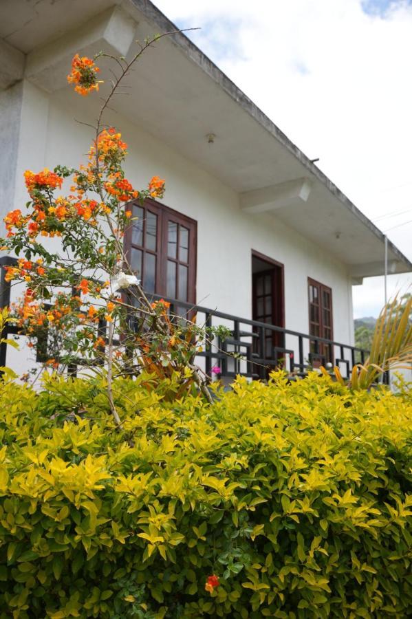 The Train View Bed & Breakfast Nuwara Eliya Exterior foto