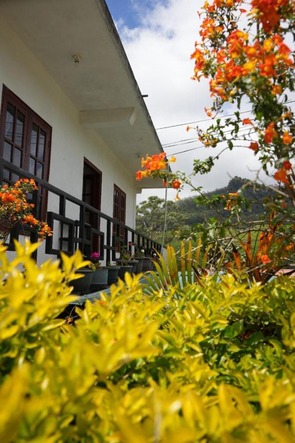 The Train View Bed & Breakfast Nuwara Eliya Exterior foto
