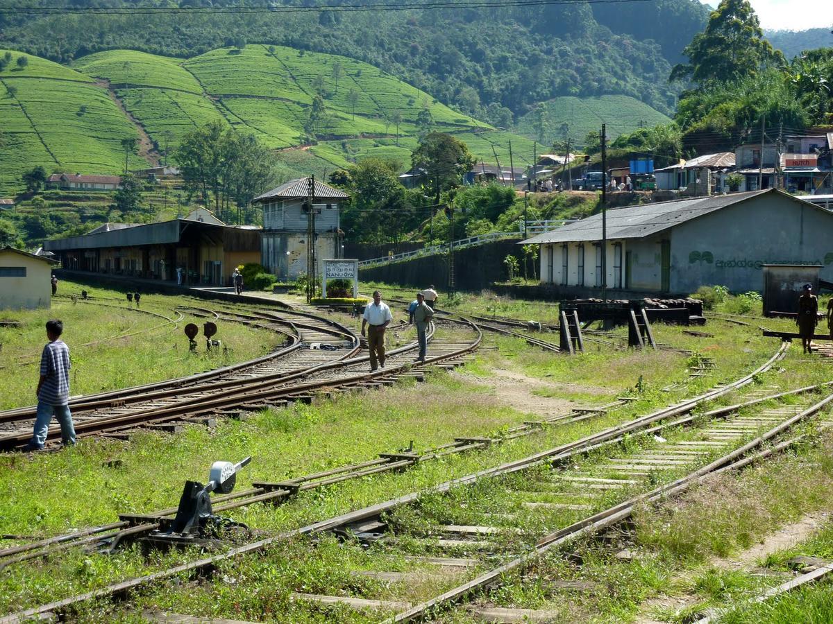 The Train View Bed & Breakfast Nuwara Eliya Exterior foto