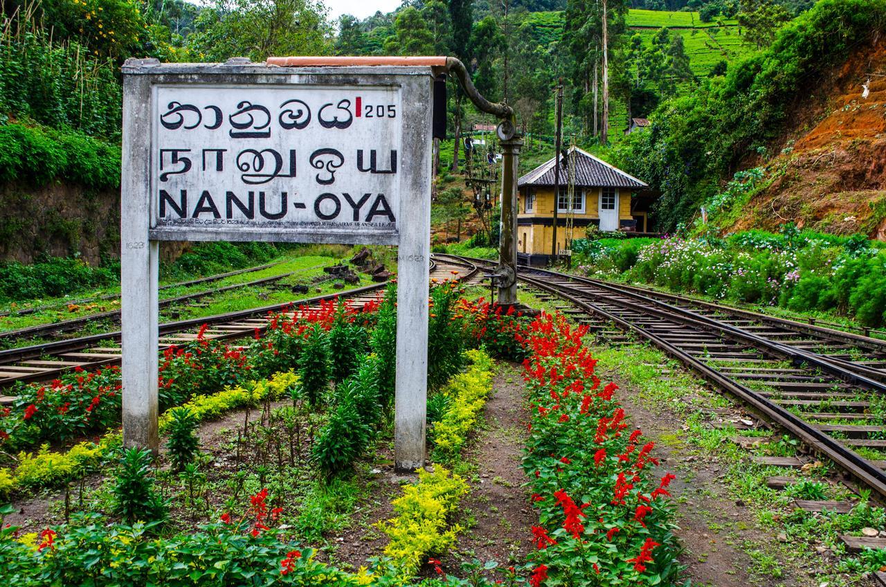 The Train View Bed & Breakfast Nuwara Eliya Exterior foto